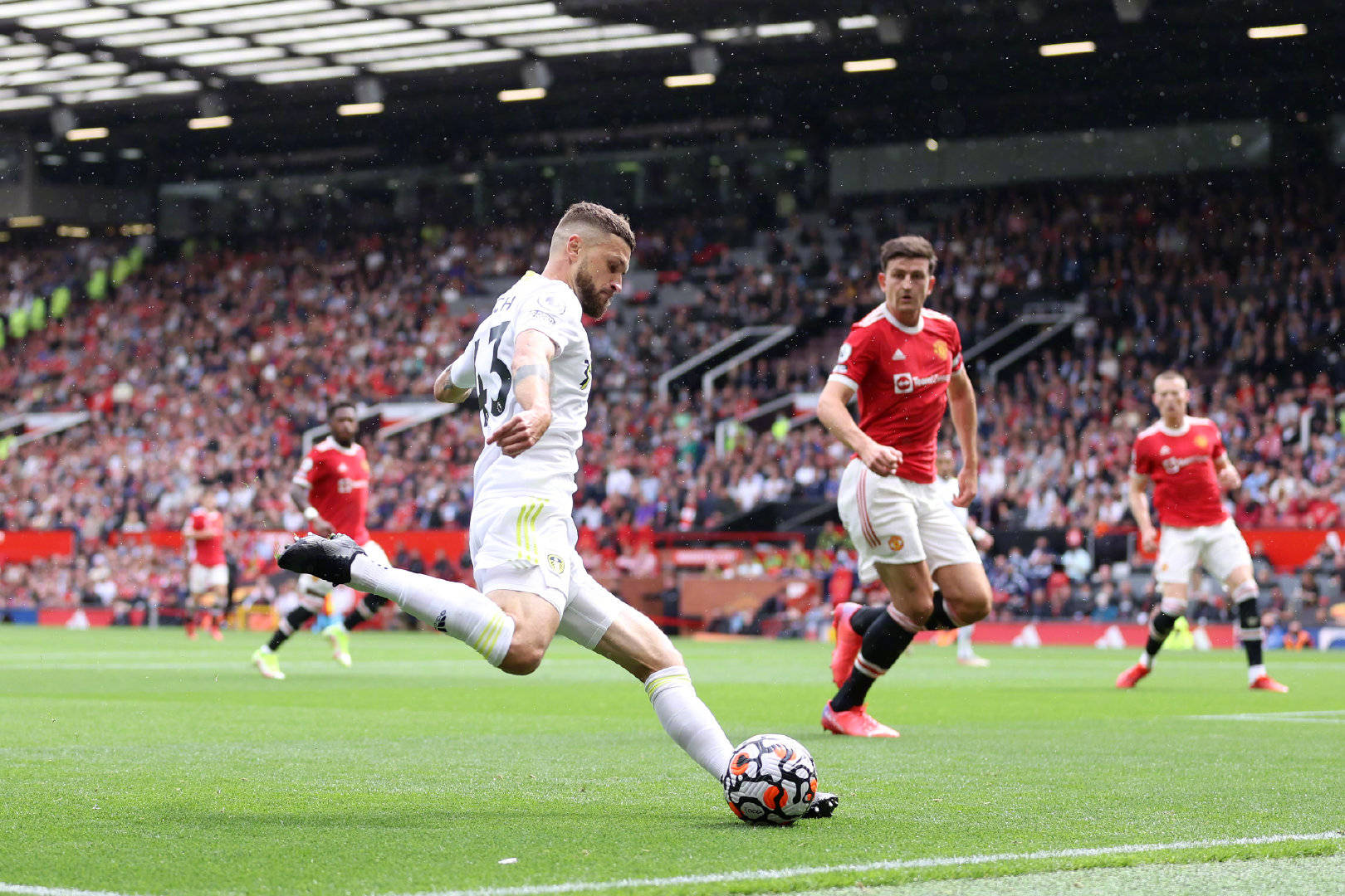 乐部们的智 乐部们的智