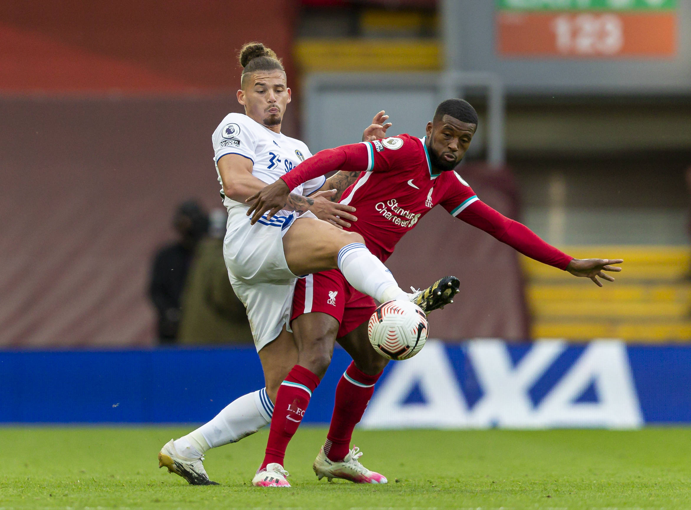 是获胜的基 是获胜的基